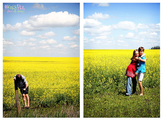 beautiful canola fields in the summer just love the blue skies 